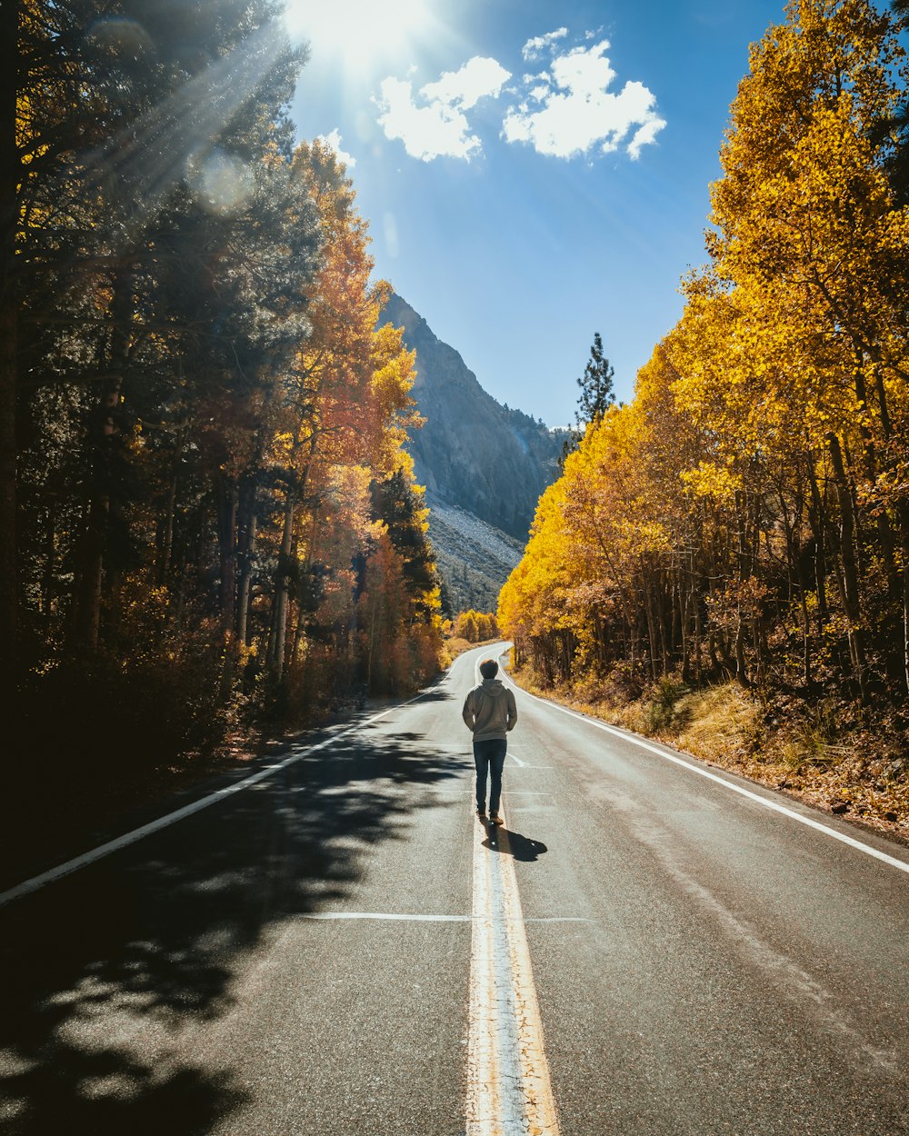 初六高速免费吗〃初六高速路免费吗 初六高速免费吗〃初六高速路免费吗